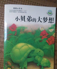 ���汾�����ڡ�С���ܵĴ�����