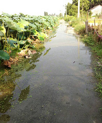 �ɻ���Ư���������죬��ˮ�ؼң����Ļ��