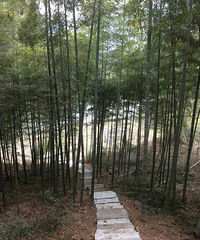 (晒民宿)新登古香居
