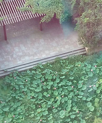 我要买房
