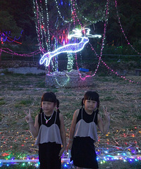 ����Ҫ��ˮ��������ҪƱ��