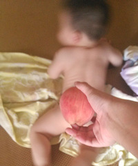 �������Σ�+�ڶ���