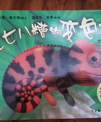 ���汾�����ڡ����߰���ı�ɫ��