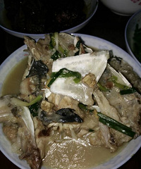 �ְָո����õĲˣ�û��ζ��������ȴ����Ŷ��