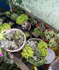 ��Щͦ��ǿ��