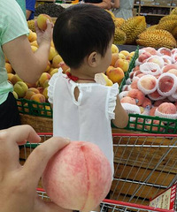 �������Ρ���������