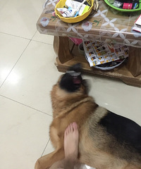 �������ϸ����������Ҵս�����һ�� �������