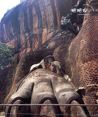 【8月避暑】肥肥安游遍全世界 —— Sri Lanka