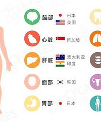 出国看病 送你一张"史上最全就医世界地图"