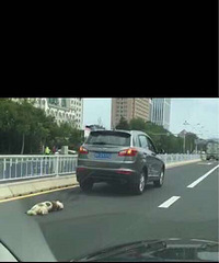 �������ӿ�����С��˩���������� ·�˷�ŭΧ��