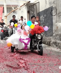 Ħ�г�������