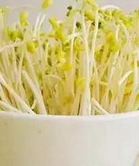 "黄豆芽和绿豆芽的营养价值"