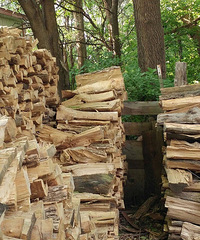 ��˵��ͼ������ֻè��