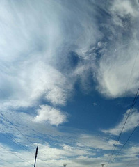 �ѵõĺ�����