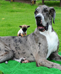 �������߲��������Ȯ��С�̹�������ˣ�ȷ�����