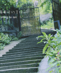 【晒民宿】墟里之夏