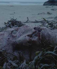 图解电影《死色》 死去的人怎么能复活