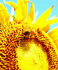 Խ�^ɽ�𣬲ŷ��F�o�˵Ⱥ�