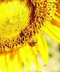 Խ�^ɽ�𣬲ŷ��F�o�˵Ⱥ�