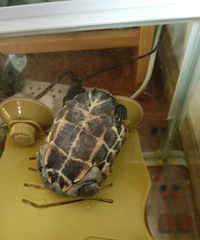 #����#�Ҿ��ǰ���