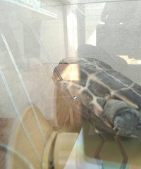 #����#�Ҿ��ǰ���