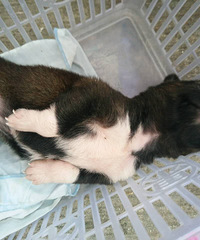 #����# +����18������˯��