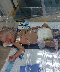 ��Ű�������´󱦱��˵Ĳ���ֱ��