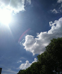 �ơ�����