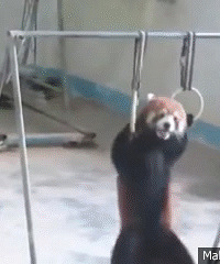 ����ܲ��� ��ҲҪ�μӰ��˻�ģ�