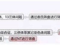 "NT检查的问题最全收录 准爸妈必看!"