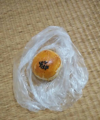 �������ڣ��ڱ����﷭�������Լ��գ���ʲô