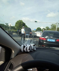 ͩ��������ƨ�ɣ�����