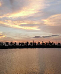 Ϧ�����£��ϳ���������