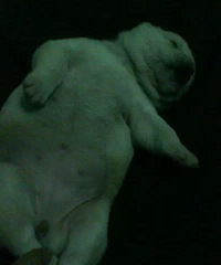 #����#���Ұ�����