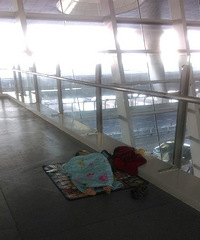 С��һ����˯�� �������̫��