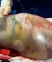 �и����¡��޵�����Ӥ������Ĥ���г���