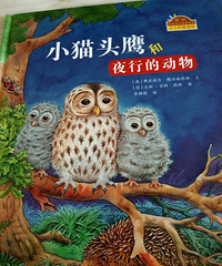 ���������Ķ���303��