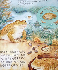 ���������Ķ���303��