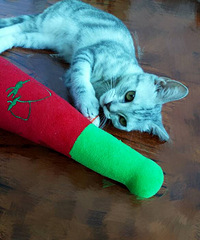 �����´��������ĸè�г�ת��