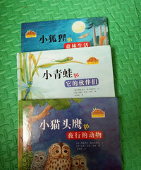 ���������Ķ���305��