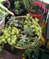 �Ҽҵ�����