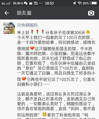 ���������Ķ���306��