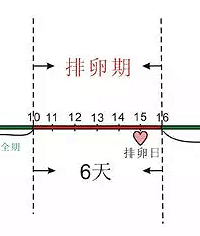 "排卵期来了是啥感觉 女人在排卵期时的微妙变化"