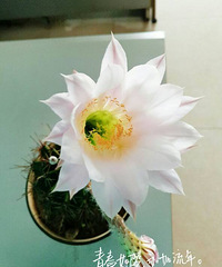 ��������ˢһ�´��ڸС���