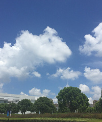 �����õ����˾���