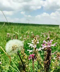 ˯���š�������