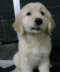 ��ëѰ���¼�