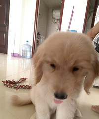 ��ëѰ���¼�