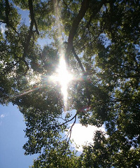 ��ɽ�����