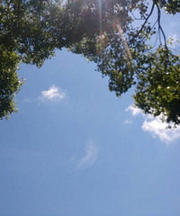 ��ɽ�����